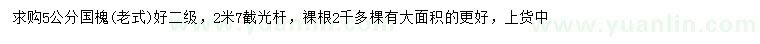 求購5公分國槐