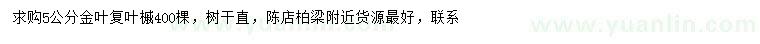 求購(gòu)5公分金葉復(fù)葉槭