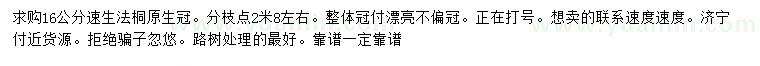 求購(gòu)16公分速生法桐