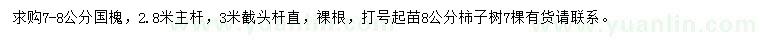 求購7-8公分國槐、8公分柿子樹