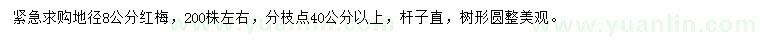 求購地徑8公分紅梅
