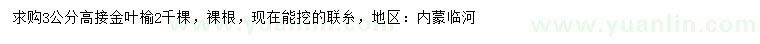 求購(gòu)3公分高接金葉榆