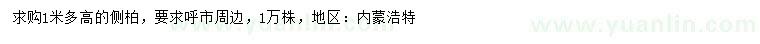 求購高1米以上側(cè)柏