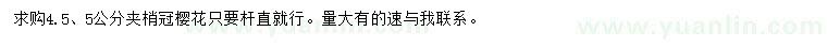 求購4.5、5公分櫻花