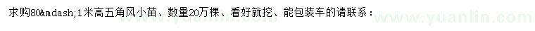 求購高80公分-1米五角楓
