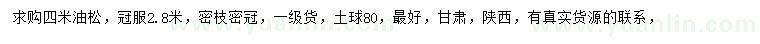 求購4米油松