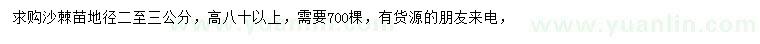 求購地徑2-3公分沙棘苗