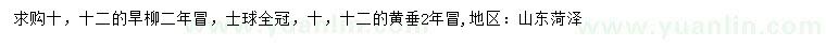 求購(gòu)10/12公分旱柳、黃垂