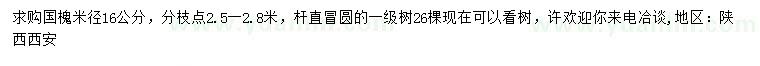求購米徑16公分國槐