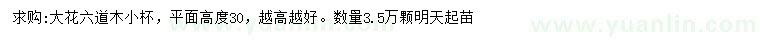 求購高30公分大花六道木