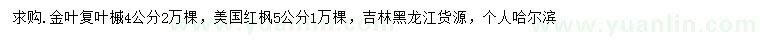 求購(gòu)4公分金葉復(fù)葉槭、5公分美國(guó)紅楓
