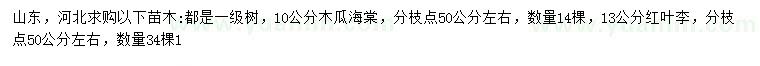 求購(gòu)10公分木瓜海棠、13公分紅葉李