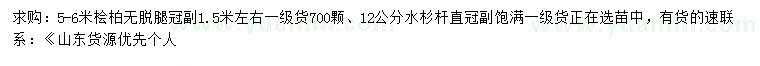 求購5-6米檜柏、12公分水杉