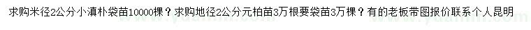 求購(gòu)米徑2公分小滇樸、地徑2公分元柏