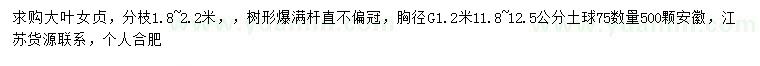 求購1.2米處量11.8-12.5公分大葉女貞