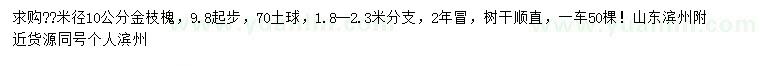 求購米徑10公分金枝槐