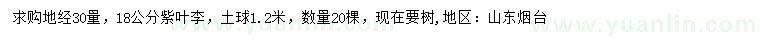 求購地徑30量18公分紫葉李