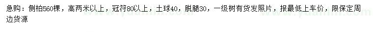 求購(gòu)高2米以上側(cè)柏