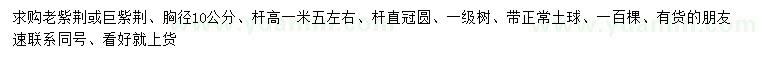 求購胸徑10公分老紫荊、巨紫荊
