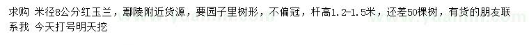 求購米徑8公分紅玉蘭