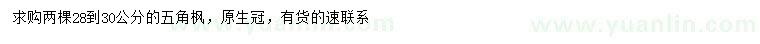 求購28-30公分五角楓
