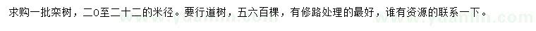 求購(gòu)米徑20-22公分欒樹(shù)