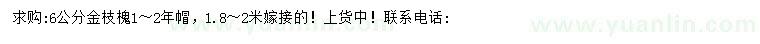 求購(gòu)6公分金枝槐