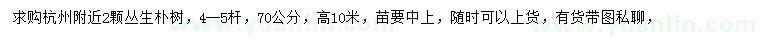 求購求購杭州附近2顆叢生樸樹綠化苗木