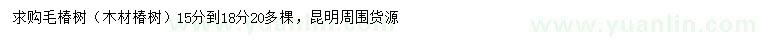 求購15-18公分毛椿樹