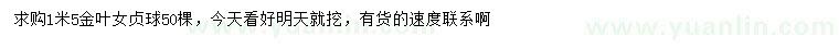 求購1.5米金葉女貞球