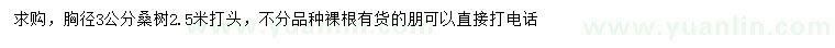 求購胸徑3公分桑樹