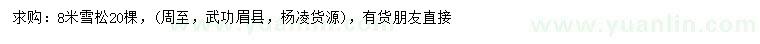 求購8米雪松