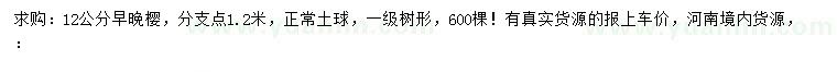 求購12公分早櫻、晚櫻