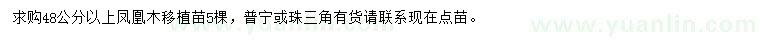 求購48公分以上鳳凰木