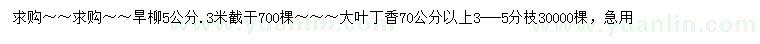 求購(gòu)5公分旱柳、70公分以上大葉丁香