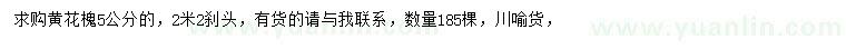求購5公分黃花槐