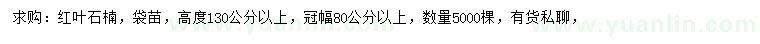 求購高130公分以上紅葉石楠