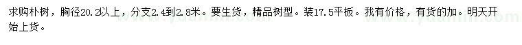 求購胸徑20.2公分以上樸樹