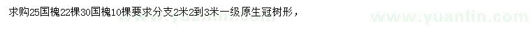 求購國槐