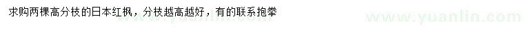 求購(gòu)日本紅楓