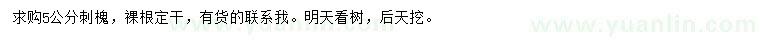 求購5公分刺槐