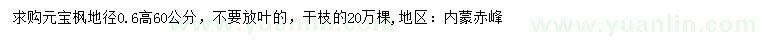 求購(gòu)高60公分元寶楓