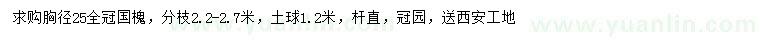 求購胸徑25公分國槐