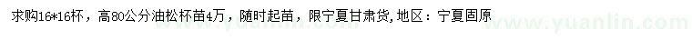 求購(gòu)高80公分油松