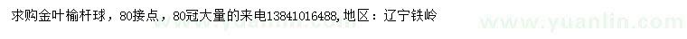 求購冠幅80公分金葉榆
