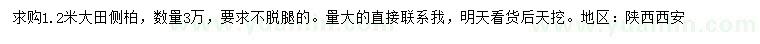 求購(gòu)1.2米側(cè)柏
