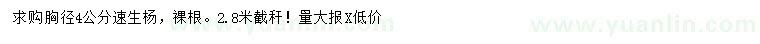 求購胸徑4公分速生楊