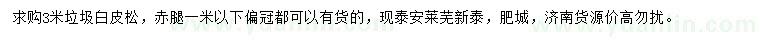 求購3米白皮松