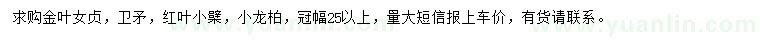 求購金葉女貞、衛(wèi)矛、紅葉小檗等