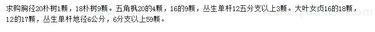 求購樸樹、五角楓、大葉女貞